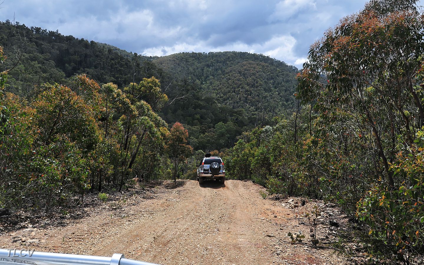 27-Jedi takes in the views along Hickey Creek Track.jpg